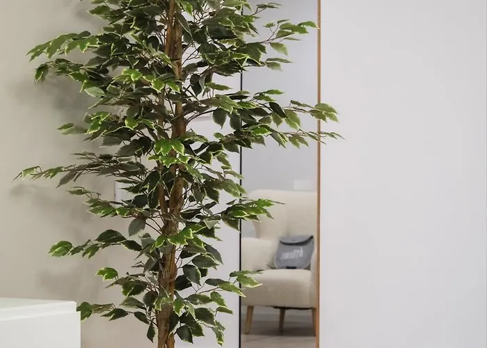 Modern 2-room Apartment, Free Underground Parking *