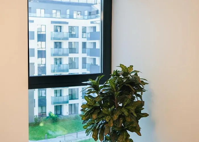 Modern 2-room Apartment, Free Underground Parking 아파트 클루지나포카