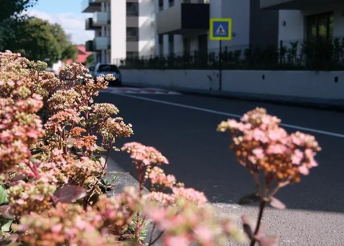 Modern 2-room Apartment, Free Underground Parking * Kluž